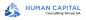 Human Capital Synergies logo Human Capital Synergies logo